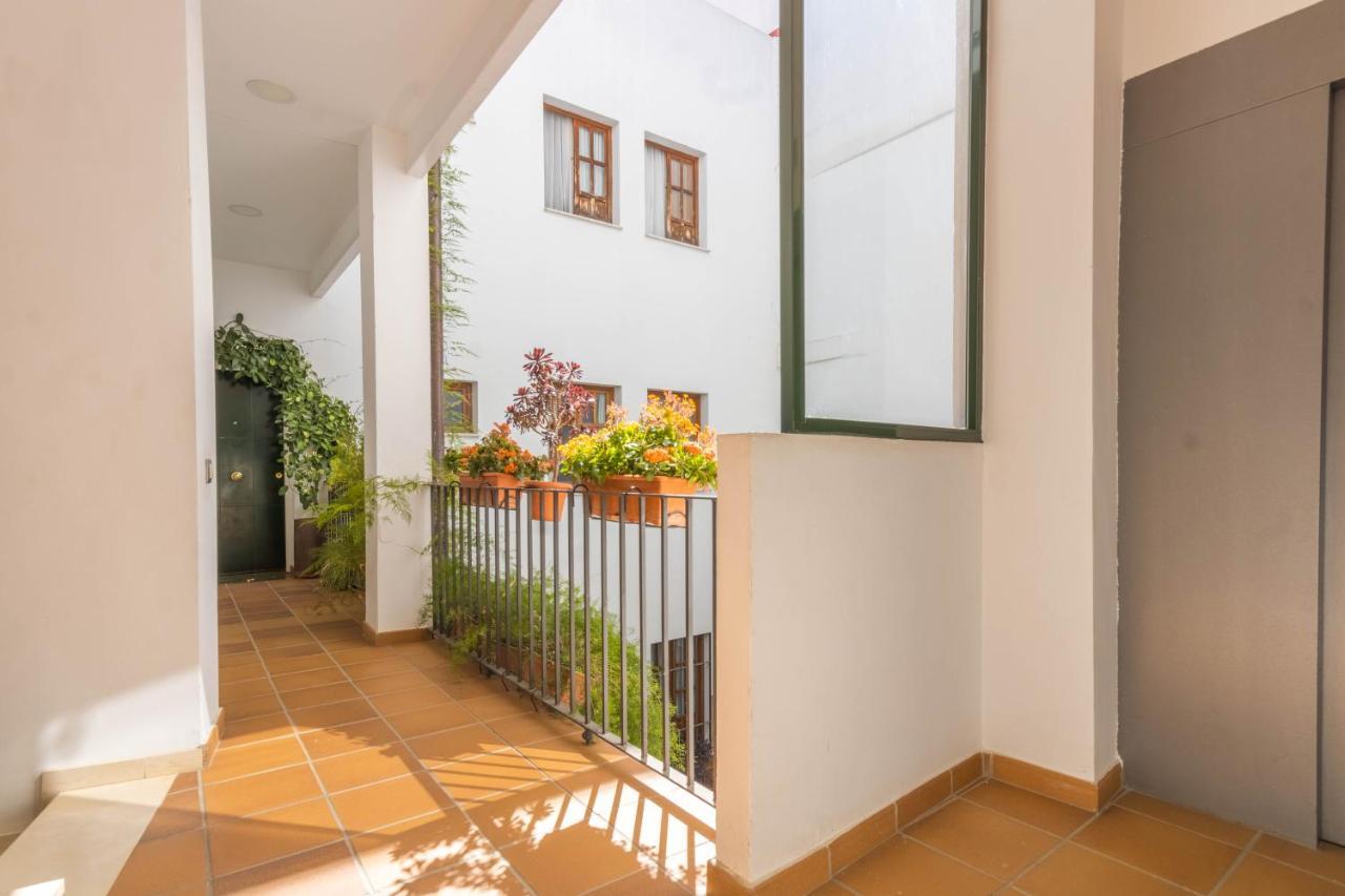 Apartamento Anais Centro Sevilla المظهر الخارجي الصورة